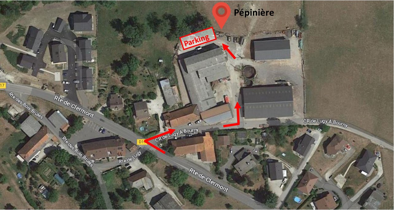 Garage De La Pepiniere Louvres